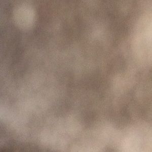 Meet your Posher, Carrie